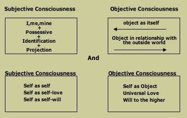 Consciousness