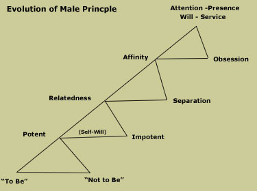 Evolution of Male Principle